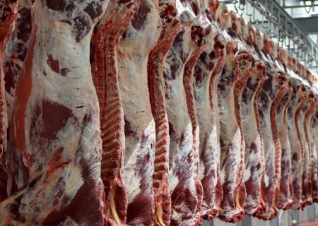 آیا قیمت گوشت واقعا منطقی است؟