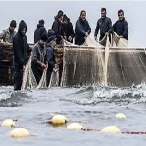 صید ۱۰۰۰ تن ماهی استخوانی در دریای خزر