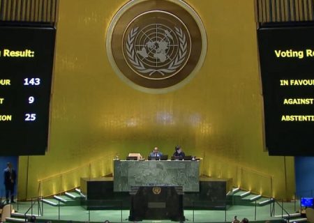 تصویب پیش‌نویس عضویت کامل فلسطین در سازمان ملل